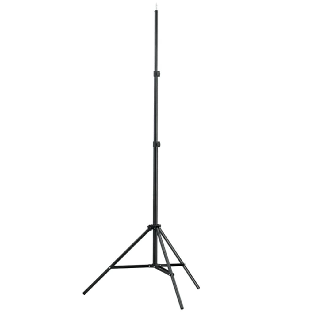 vidaXL Studijski komplet z belim ozadjem 600 x 300 cm in luči