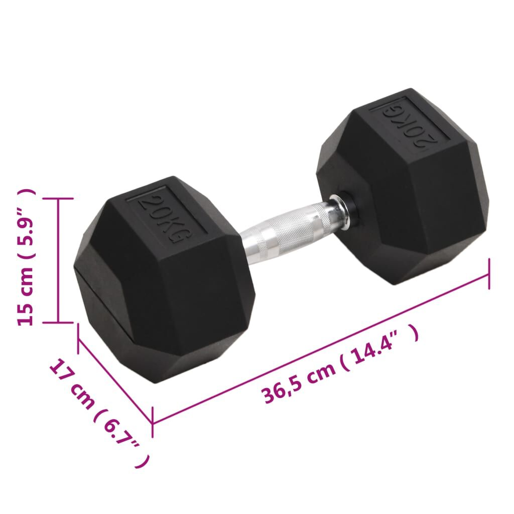 vidaXL Uteži 20 kg lito železo