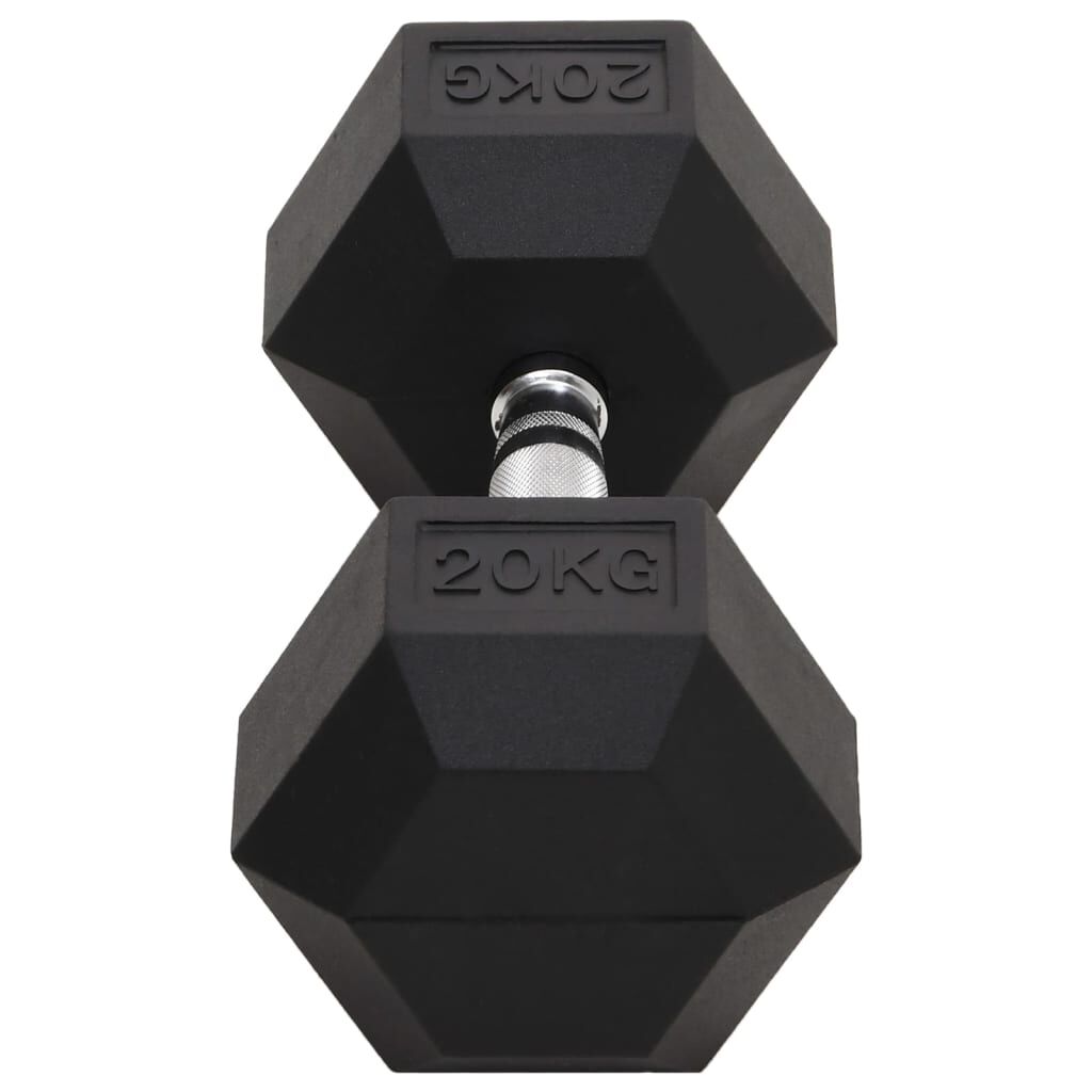 vidaXL Uteži 20 kg lito železo