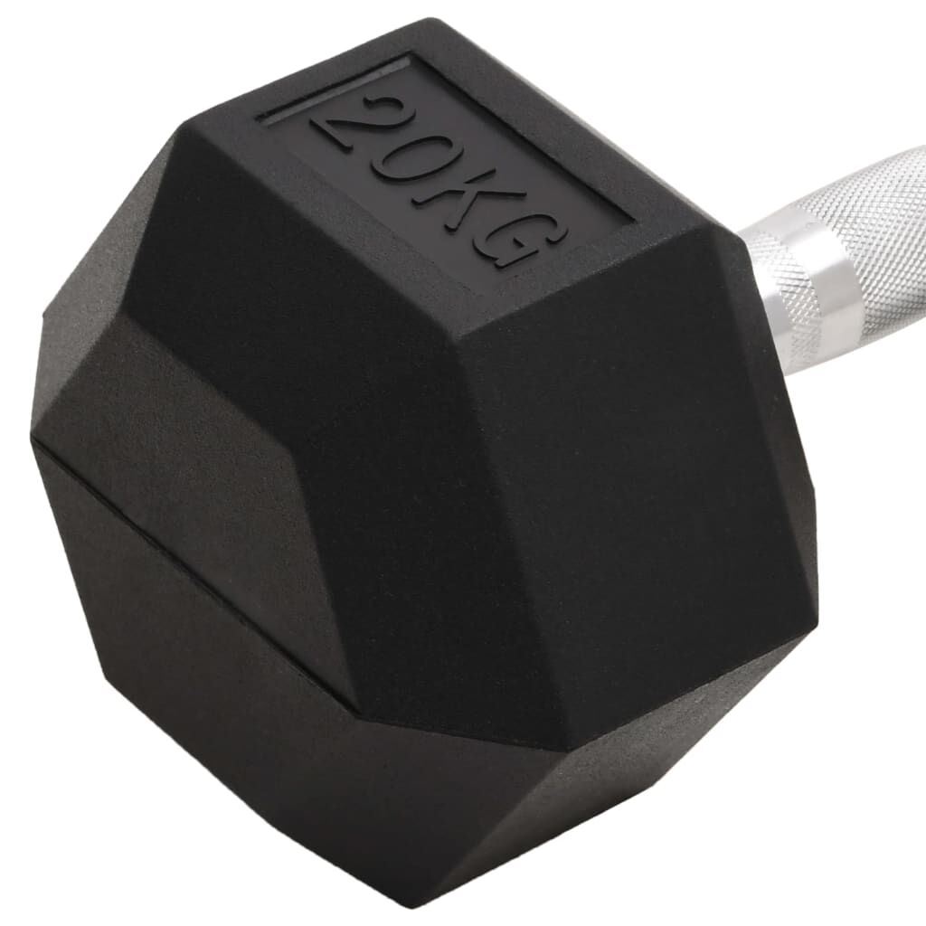 vidaXL Uteži 20 kg lito železo